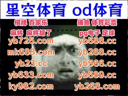 磊的